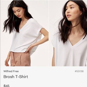 Aritzia wilfred free brosh t shirt